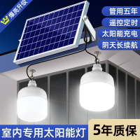 2024新款太陽能戶外燈家用庭院燈室內外照明燈充電一拖二感應燈泡