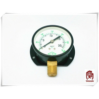 75mm 3/8" x 20kg 立式壓力計 壓力表 壓力錶 耐壓錶 耐壓表 耐壓計 量壓計 測壓計 [天掌五金]
