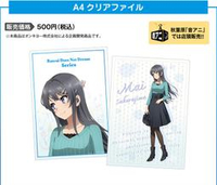 ■預購■『ONKYO』通販｜ 青春豬頭少年不會夢到兔女郎學姊『櫻島麻衣』A4資料夾 。