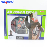 4D MASTER 36 Parts Animal Anatomical Model Black Bear Anatomy Skeleton DIY Gift Children Decoration Museum Used Tool