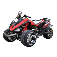 China ATV hyw 150cc /200cc/ 250cc quad atv gasoline motorcycle for salecustom