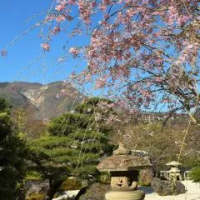 住宿 Onsen & Garden -Asante Inn- 强罗温泉 箱根