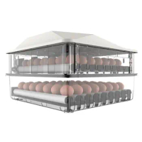 Small Eggs Incubator Brooder Temp Humidity Control Automatic Turner Poultry Incubator Egg Hatcher for Hatching Chicks Birds Eggs