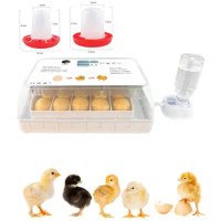 Machine Hatcher Egg Incubator Chicken for Eggs Portable Automatic Birds Control Temperature Poultry 15 Holds Small