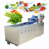 Circulating Water Chestnut Portulaca Ormosia Washer Conveyor Tremella Fruit Vegetables Clean Washing