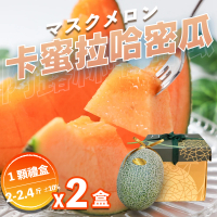【果樹寶石】溫室卡蜜拉橘肉中顆哈密瓜1入禮盒x2盒（2-2.4斤/顆）(下單才採最新鮮 農場常溫直送)