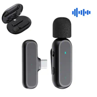 Lavalier Microphone For Speaker Lapel Mic Wireless Lavalier Microphone Wireless System Rechargeable Clip-on Mini Mic Portable