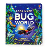 Usborne Look Inside Bug World