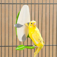 Tulang Sotong Kering 2 Pcs Pakan Burung Reptil Gecko kura kura