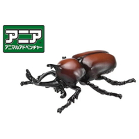 《TAKARA TOMY》多美動物 ANIA AS-37 甲蟲 東喬精品百貨
