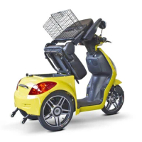 Delivery Adult Three-Wheeled Tricycle Heavy Load 48V/60V 1000W Electric Freight Tricycle