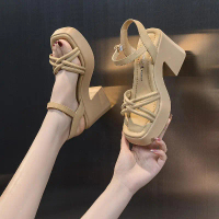 Chunky Heel Roman Sandals For Women Summer Women'S Shoes Waterproof Platform Wedge High Heels