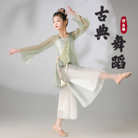 兒童古典舞演出服 飄逸紗衣女童舞蹈練功服 扇子舞中國舞表演服【不二雜貨】