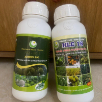 Bộ đôi HLC16-AMINO - BUNG CHỒI, VỌT ĐỌT, LÁ XANH DÀY BÓNG, TĂNG SỨC ĐỀ KHÁNG CHO CÂY TRỒNG