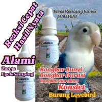 Penggacor Lovebird. Untuk Burung Lovebird Baby Dan Dewasa. Jantan Dan Betina.