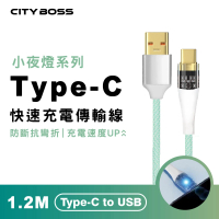 CityBoss Type-C to USB 120CM 透明發光傳輸充電線(適用 iPhone15 安卓 三星 OPPO)