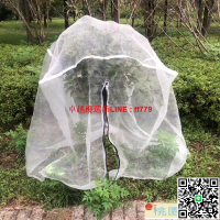 【卓越優選館】防鳥網 防蟲網  楊梅網罩水果樹網罩蓮霧藍莓網桃樹防鳥網網罩40目枇杷罩防果蠅罩