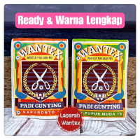 Wantex Padi Gunting Pewarna Kain