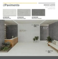 ROMAN GRANIT 120x60 dPavimento Grigio GT1262554R