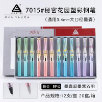 2025 Ruanyi Pen Tip Manufacturer 7015 # Plastic Fountain Pen Set for Elementary School Students with
