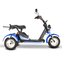 20Ah motorized tricycles 60v Removable Lithium Battery 4000W Three Wheels Electric Scooter Fat Tire Adult Electric Tricycles