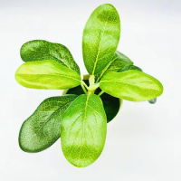 Artificial Plants Bonsai Party Supplies Desktop Ornament Fake Mini Bonsai Lifelike Greenery for Interior Aesthetics