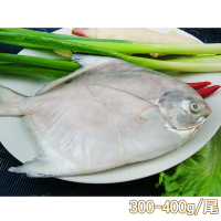 新鮮市集 鮮嫩富貴白鯧魚(300-400g/尾)