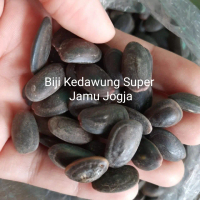 Biji Kedawung Super 1 kg