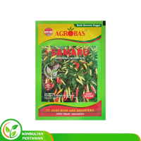 AGROBAS SAMARU Benih Unggul Cabe Rawit Putih 10gram