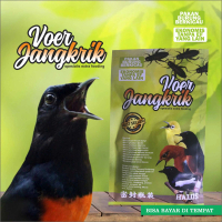 VOER JANGKRIK KERING EXTRA FOODING BURUNG BERKICAU COCOK UNTUK LOLOH