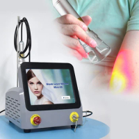 Long Wave Therapy Handle Physiotherapy Pain Relief Machine Diode Laser 980nm Machine