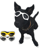 【COMET】時尚寵物太陽眼鏡(寵物眼鏡 狗狗墨鏡 狗眼鏡 防風眼鏡/DG-001)