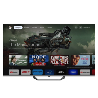Haier 海爾 55型 QLED DLG-120HZ Google TV 智能聯網顯示 H55S80EUX (含基本安裝)