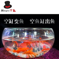 魚缸變金魚  空缸出魚  年年有魚      舞臺魔術道具  魚類魔術