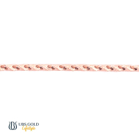 UBS Gelang Kaki Emas - Jgvm000009k - 17k