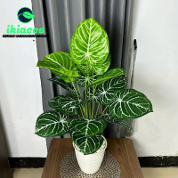 Promo Guncang Daun Aglonema Artificial Daun Plastik Pot Bunga Keladi Hias Murah Pasti Promo