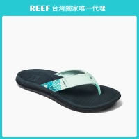 【REEF】REEF 經典 SANTA ANA 系列 人體工學皮革 女款人字夾腳涼拖鞋 CI7129(女款夾腳拖)