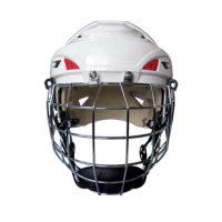 Ice Hockey Helmet Repair Kit Screw With Nuts Goalie Helmet Visors Fastener  
