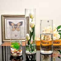 富貴竹專用花瓶落地直筒大號透明玻璃花瓶路引圓柱客廳水培擺件