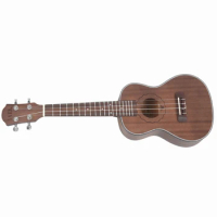 Yael 23 Inch Concert Ukulele 4 String Hawaiian Mini Guitar Uku Coffee Acoustic Guitar Mahogany Rosewood