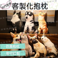 【宜家良品百貨】抱枕 仿真抱枕 寵物客製化 訂製抱枕  貓咪抱枕 沙發靠枕  娃娃 造型抱枕  動物抱枕 客製抱枕