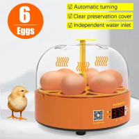 Egg Incubator Automatic Egg Incubator Intelligent Digital Temp Control Chicken Small Household Fully Turning Incubator