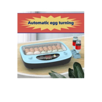 Mini Small Egg Incubator Bird Egg Incubator Hatch Breeding Equipment Egg Parrot Hatch Machine
