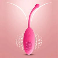 Panties Wireless Remote Vibrator Vagina Vibrating Egg Wearable Balls Vibrators Women Anal G-Spot Clitoris Stimulation