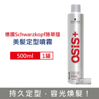 德國Schwarzkopf施華蔻 黑旋風專業沙龍美髮定型噴霧500ml/銀罐-3號