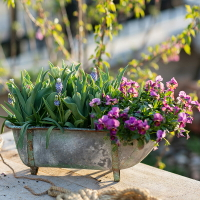 掬涵 鐵藝浴缸花盆花器 可愛復古個性多肉植物落地花園陽臺庭院