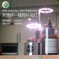 植物補光燈 植物生長燈USB全光譜室內多肉補光燈上色家用光合作用LED仿太陽燈 快速出貨