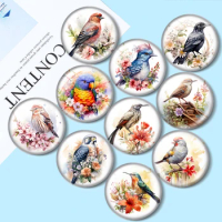 Collection of Birds 10pcs 12mm/18mm/20mm/25mm Round photo glass cabochon demo flat back Making findings10pcs 12mm/18mm/20mm/25mm