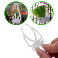 Cute Small Pet Bird Food Holder Parrot Fruits Vegetables Clip Cuttlefish Bone Feeder Device Clamp Bird Cage Accessories Oiseaux