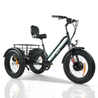 500w Electric Fat Tire Trike 20" Inch Cargo Delivery Triciclo Electrico 3 Wheel Electric Bike for Disabled